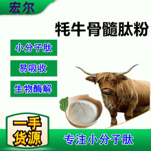 供应牦牛骨髓肽粉 牛骨髓多肽99% 牛骨髓提取胶原蛋白粉