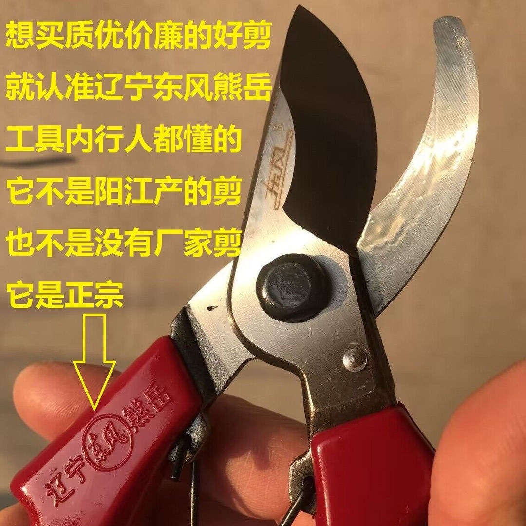 东风熊岳剪枝剪辽宁园林园艺剪果树剪花枝盆景剪田园经济树枝剪