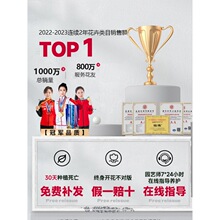 �ļ������m�A�^���о����m�����׻�����҃���Gֲ���Ի����̨