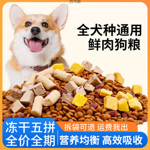 General Dog Food 10kg Golden Retriever Teddy Samoyed 5kg Large and Small Adult Puppies Foreign Trade Factory Supply Chain
