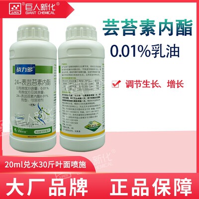 24表芸苔素内脂解药害保花保果壮苗增产抗逆抗寒生长调节剂战力多|ms