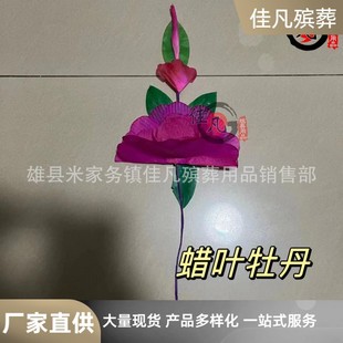 �D�~��ĵ�����ֹ������ɫƯ���������Ȧ�o�ϰ�������Ʒ����