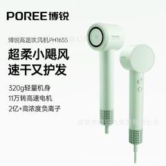 博鋭電気ヘアドライヤー柔らかい風マイナスイオン大電力恒温ヘアケア1600w大電力家庭用冷熱卸売り