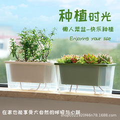 ネギを植えるベランダは野菜の鉢を植えます。