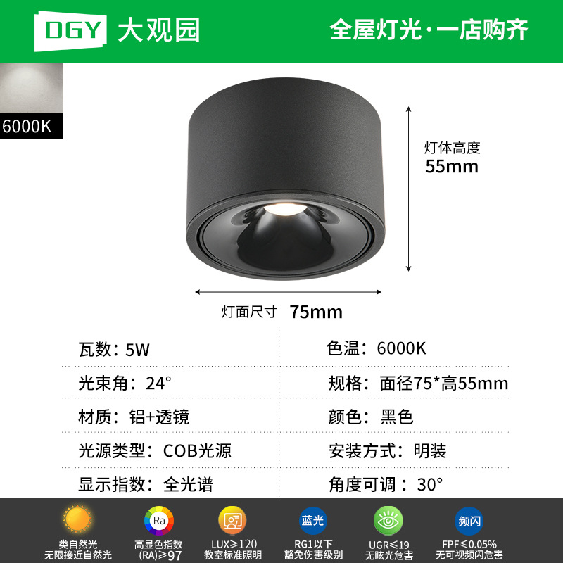 Da Guan Jardín luz de reflector anti-deslumbramiento colina sala de estar sin luz principal luz de techo downlight led corredor luz de techo 495L image 30