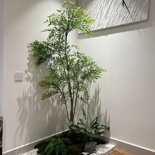 ����Gֲ�쾰�҃Ș����¾��^ֲ��������������ԙ����b٘�[��