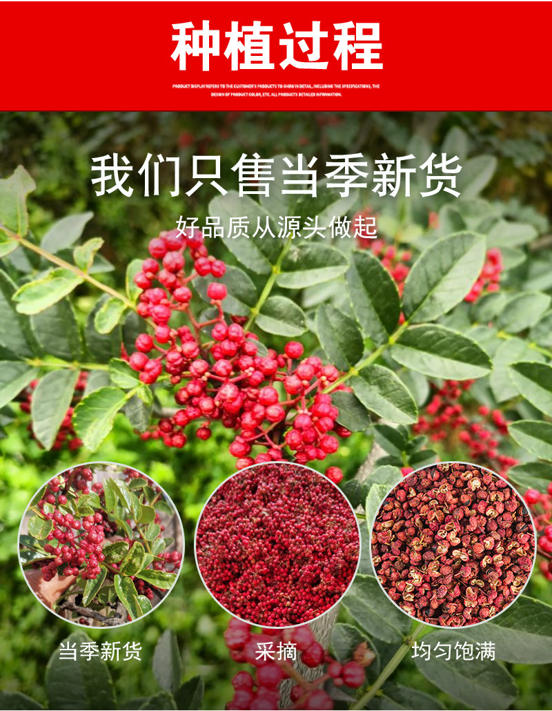 Da Hong Pao Sichuan Peppercorn (Zanthoxylum bungeanum) — Dried Red Sichuan Pepper, 60g Bag preparation