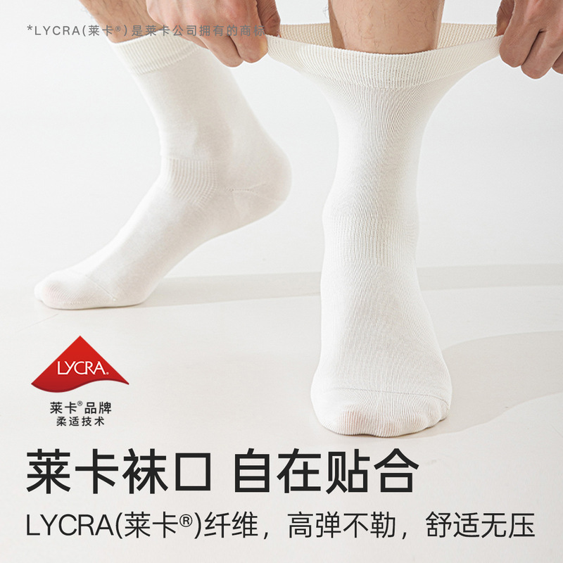 Autumn New Men's Mid-Calf Lycra Elastic Aloe Vera Essential Oil Antibacterial and Deodorant Pure Color Xinjiang Long-Staple Cotton Right-Angle Socks