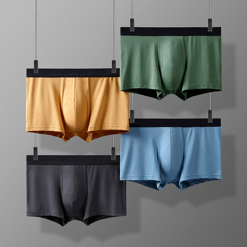 60 Count Lenzing Modal Men's Underwear Mid-waist Breathable 5A Antibacterial Underwear Men's Ice Silk Feel Zhongshan Manufacturer Wholesale