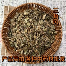 中药材三角风 爬山虎 异叶地锦 小叶红藤 吊岩风 三皮风正品散装