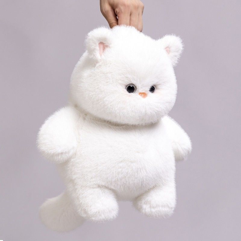 新しいぬいぐるみのぬいぐるみの白い猫の人形のニャンの子のかわいい柔らかい萌えの猫は枕を抱いて誕生日のプレゼントを送ります。|undefined