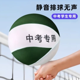 球类;篮球;排球