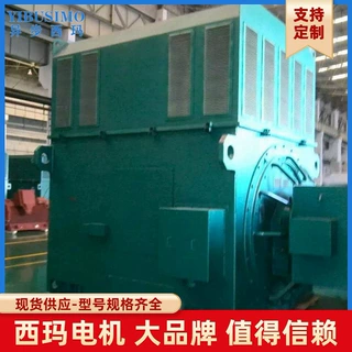 315KW 泰富西玛6KV高压高效率电机 YRKK系列YRKK5004-12 双轴伸
