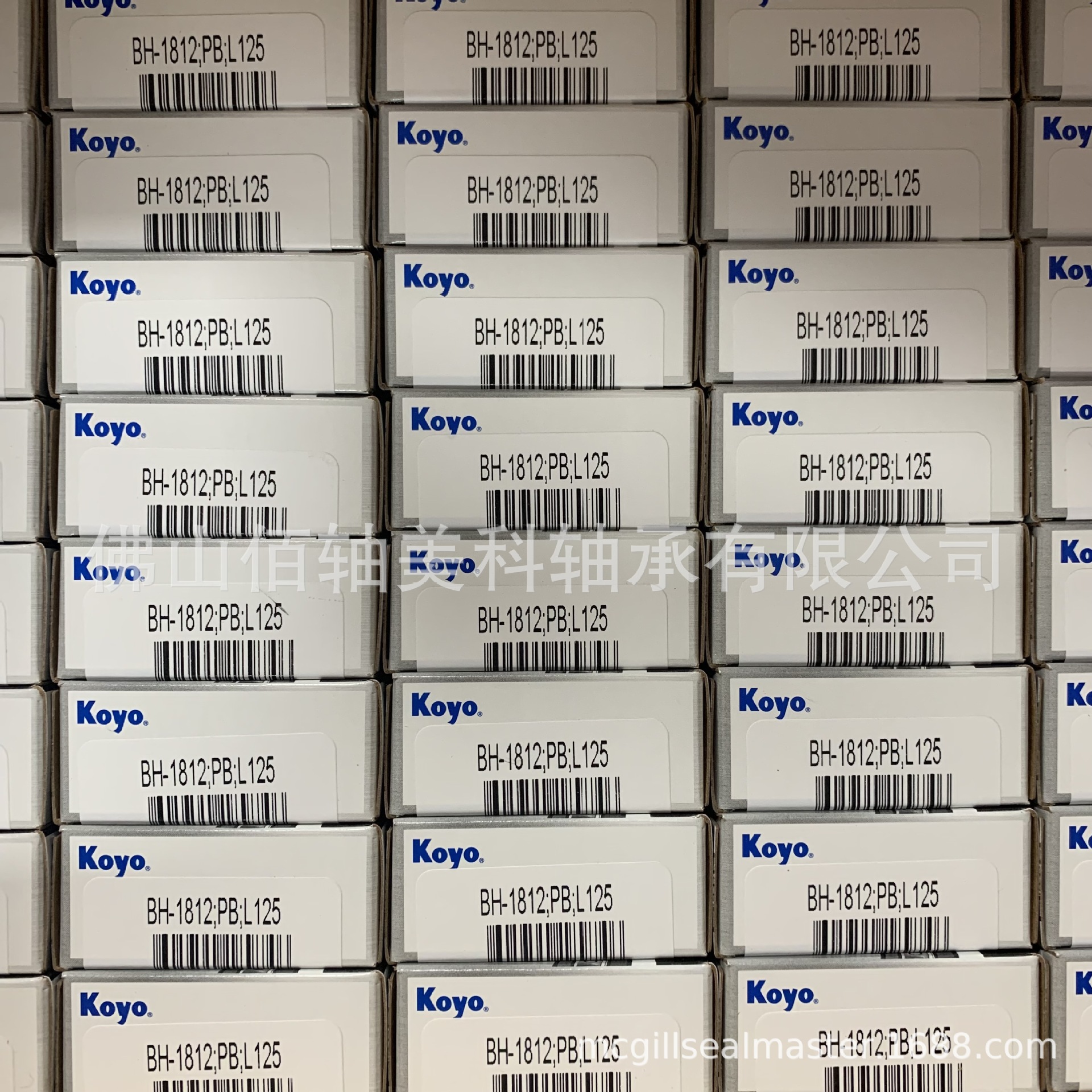 KOYO尖头满滚针轴承B-1010 M-10101;PB;L125原美国TORRINGTON品牌