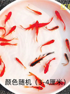 �^�p�~��ˮ�~�t���\���ͻ���B����~�ݽ��~���~�����~�J���~