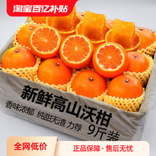 �V�����Q�ָ�9���������rˮ������һ��ɳ������ɰ�Ǹ��ٴ�����]