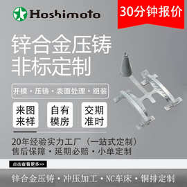 星本机电 压铸件 来图来样 锌合金压铸加工抛光电镀成品