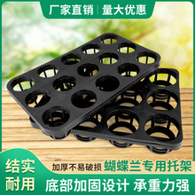创意育苗穴盘托盘蝴蝶兰托盘12孔15孔多肉托架塑料花卉育苗万象盆
