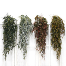 ����ֲ���ȼ����ڒ��c·���Ҿ��b��X�~�������z�ٻ��Gֲ�zӰ