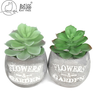 �������ֲ��12cm�B�w��ɏ��ֲ��ٻ������b���ʯɏ��С����