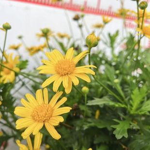 ����ľ�����S��ջ��ļ��_���׻��̨������ͥԺ����