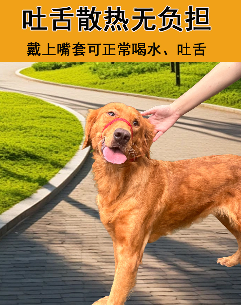 详情4.jpg