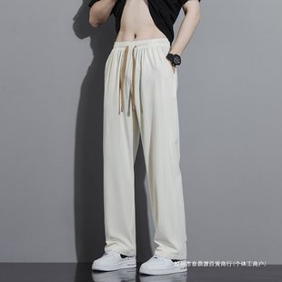 Ice Silk Pants Men's Summer Thin Loose Straight Pants Quick-drying Casual Pants Wide-leg Small Suit Pants