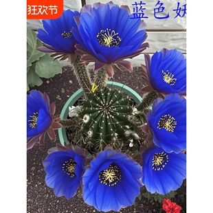 �󻨲ʲ��_���������������ƶ���ֲ���҃����̨���ܾGֲ����