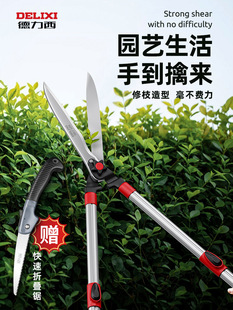 Delixi Garden Scissors for Cutting Grass and Greening Gardening, Special Pruning Shears for Cutting Branches, Imported Gardening Scissors