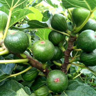 �o�������粨���t�ϱ����Nֲ���Ե��Թ������ձ��Ϲ� �ļ��Y����