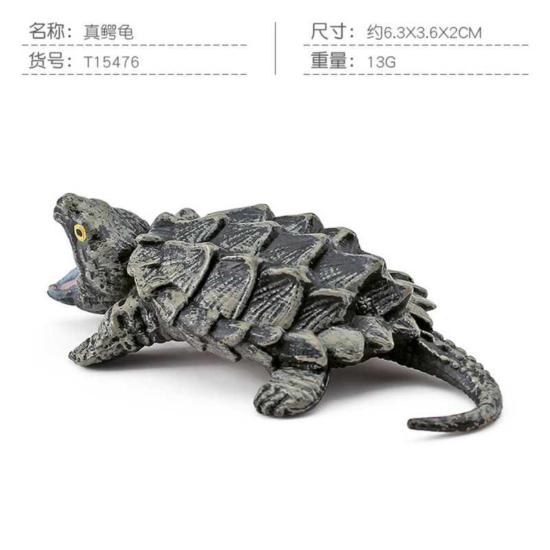 PL127-1896 tortuga cocodrilo real 13g