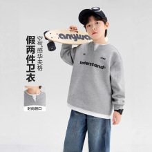 AINI男童卫衣秋儿童男孩新款假两件立体春秋款秋装上衣中大童