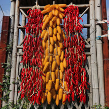 �߲˴����������������r�Ҙ��ͥԺ�b��r����ģ�͒��