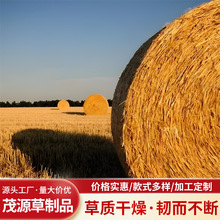 ���ݷ��ξG���B�o���ﱣ�ض������ݏS���шF�݉|�@���p���Ԅӵ���