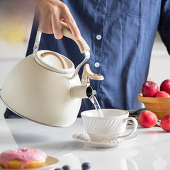 亞馬遜新款米白鳴音燒水壺泡茶咖啡歐美鳴笛壺3L輕奢廚具摺疊手柄