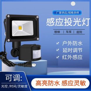 Cross-border supply 10W induction floodlight outdoor courtyard led corridor corridor corridor garage 10W induction light