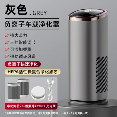 Air Deodorizer Odor Removal – Hava təmizləyiciləri - gray-high-configuration-two-filter-elements