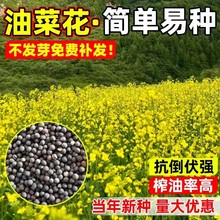 �^�p�Ͳ˻��N�Ӹ߮aե���ļ��׷N�ͺ��ͺ�����ʳ�ô������ѻ���