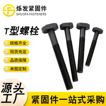 �ߏ���T����˨������˨T���ݽz���ͼ���˨���^��˨