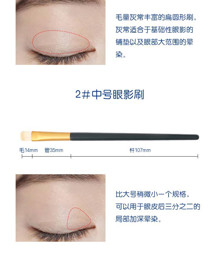 5-piece Star Motion eyeshadow brush set, soft bristle eye cover brush, smudging brush, eye makeup, nose shadow brush, makeup brush, eyeliner brush undefined