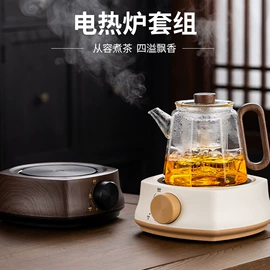 电热杯;电陶炉;电煮锅