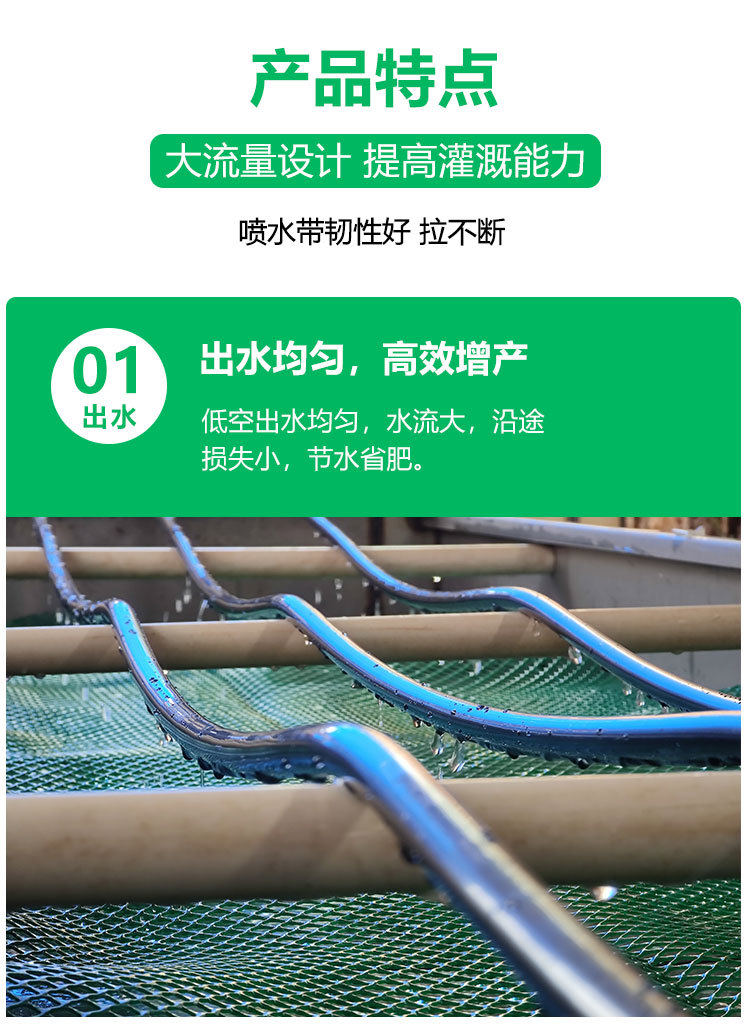 详情_03.jpg