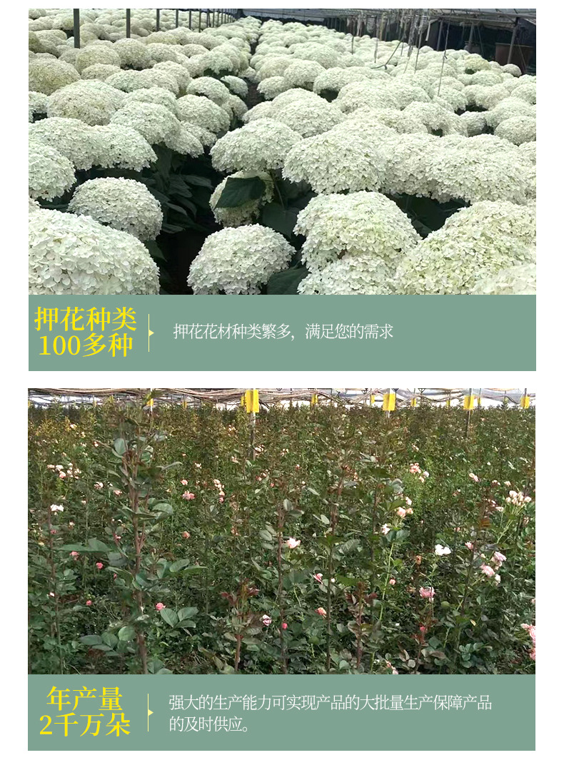 未标题-1_12