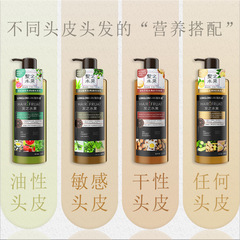 山茶籽西柚洗髮乳蓬鬆清爽油性頭皮控油洗頭膏柔順護髮洗髮水代發