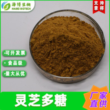 灵芝多糖30% 灵芝提取 海博供应 灵芝菌丝体多糖 食品级 现货包邮