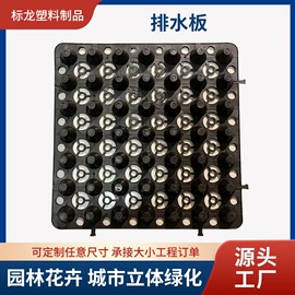 排水板;塑料建材;工地施工材料
