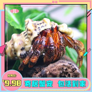 �ľ�з�������㌙�������������ֺ��B�M�ڻ��w�^�pз��ݮ�����Ұ�