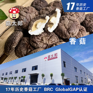 ���X��С�㹽��؛2.5-3cm���㹽������׵��ÓˮĢ���������؂䰸