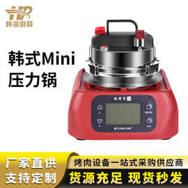 韩式迷你煲仔锅304不锈钢迷你高压锅小型压力锅煮汤做饭蒸锅家用