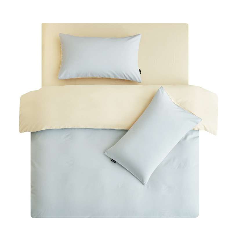 Luz de lujo 40 camas de cuatro piezas de algodón puro algodón 2025 nuevo estilo de alta calidad sábanas de cama de dormitorio principal tres